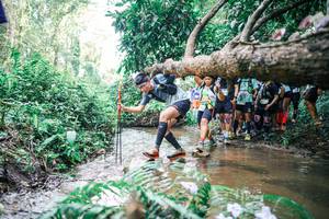 BIB: 
                            <button type="button" onclick="openModal(25471375)" class="btn btn-primary btn-sm float-right btn-popup" data-toggle="modal" data-target=".modal-high-quality">
                        <i class="fas fa-shopping-cart"></i> Add to Cart
                    </button>
                                            <button type="button" onclick="isThisMe(25471375, true)" class="btn btn-success btn-sm float-right btn-popup btn-isme hidden" data-toggle="tooltip" data-placement="bottom" title="นี่คือรูปของคุณใช่ไหม คลิกที่นี่เพื่อเอาเข้าอัลบั้ม">
                        <i class="fas fa-plus"></i> Add to album
                    </button>
                    <button type="button" onclick="isThisMe(25471375, false)" class="btn btn-warning btn-sm float-right btn-popup btn-isnotme hidden">
                        <i class="fas fa-ban"></i> Remove from album
                    </button>